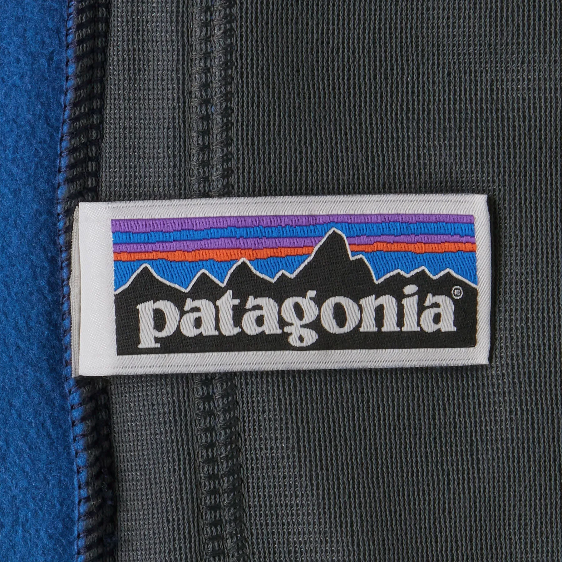 Patagonia Kids Micro D Snap-T Jacket